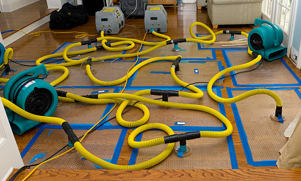 Professional Burst Pipe Water Damage technician working in Plymouth, WI